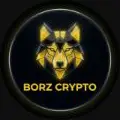 BORZ | CRYPTO — рейтинг 1.7